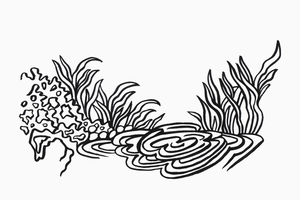 國外“牙膏管鯡魚醬”包裝設(shè)計(圖4)