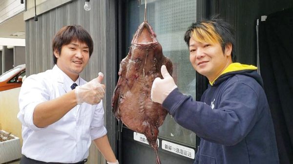 30種日本特產(chǎn)包裝設(shè)計(jì)參考(圖5) 30種日本特產(chǎn)包裝設(shè)計(jì)參考(圖5)