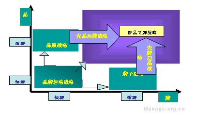 新品牌策略(圖2)