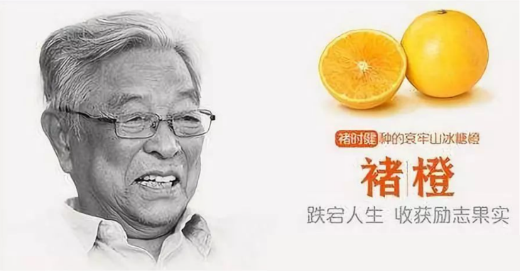 四喜：“包裝五力”要有力量之三——選擇力(圖19)