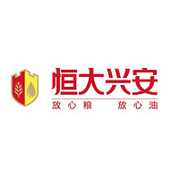 恒大興安品牌故事-logo設計分析(圖1)