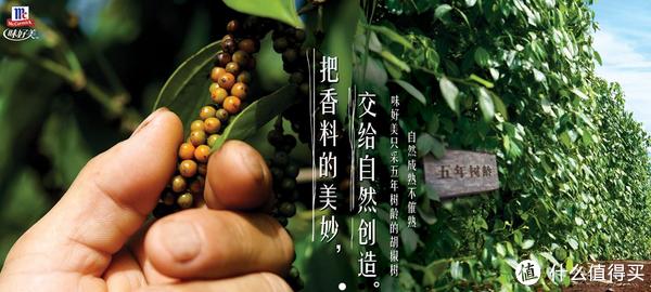 味好美品牌故事-logo設(shè)計分析(圖1)