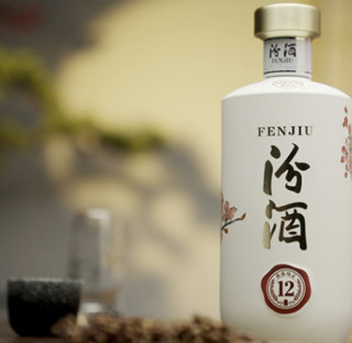 創(chuàng)意酒包裝設(shè)計(jì)商務(wù)汾酒 匠心12 53%vol 清香型白酒 500ml 單瓶裝產(chǎn)品包裝設(shè)計(jì)欣賞(圖6)