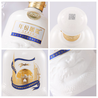 創(chuàng)意酒包裝設(shè)計(jì)年份原漿古迪拜世博中國(guó)館指定用酒濃香型白酒單瓶裝產(chǎn)品包裝設(shè)計(jì)欣賞(圖6)