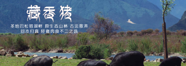 雛牧香品牌logo與產(chǎn)品包裝設(shè)計(jì)欣賞(圖3)