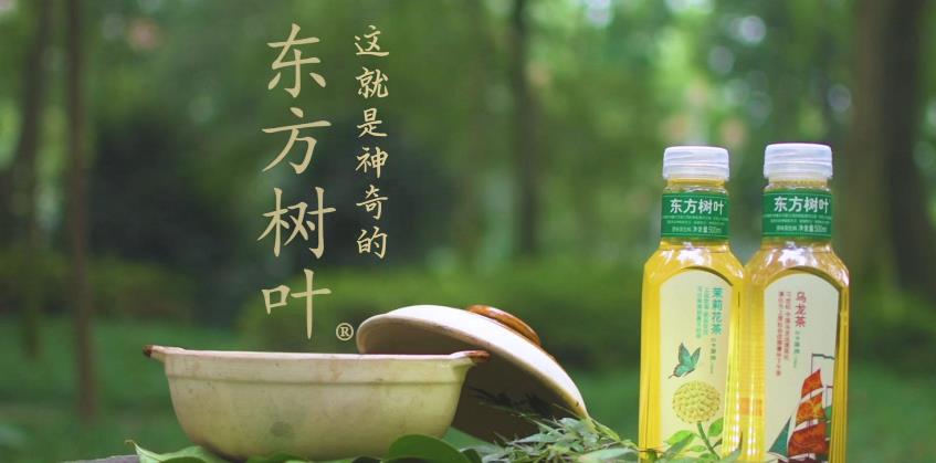 東方樹葉品牌logo與食品包裝設(shè)計欣賞(圖3)