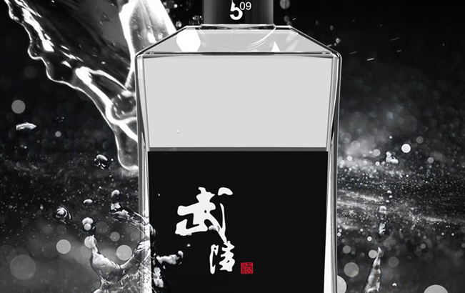 武陵品牌logo與食品包裝設(shè)計(jì)欣賞(圖2)