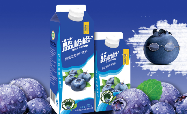 藍格格品牌logo與食品包裝設(shè)計欣賞(圖4)