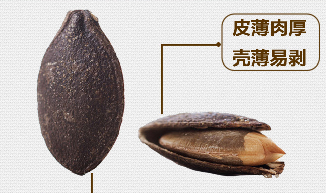 老閆家品牌logo與食品包裝設(shè)計欣賞(圖4)