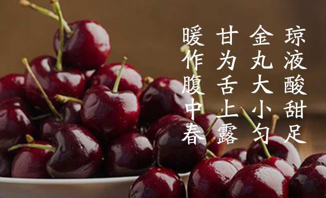 悠樂果品牌logo與食品包裝設(shè)計欣賞(圖2)