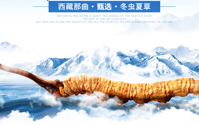 隴萃堂品牌logo與食品包裝設(shè)計欣賞(圖2)
