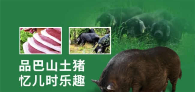 巴山土豬品牌logo與食品包裝設(shè)計(jì)欣賞(圖2)