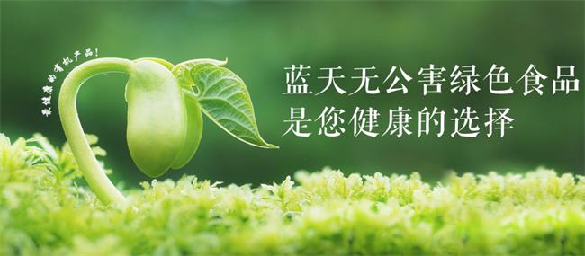 藍(lán)天果蔬品牌logo與食品包裝設(shè)計(jì)欣賞(圖3)