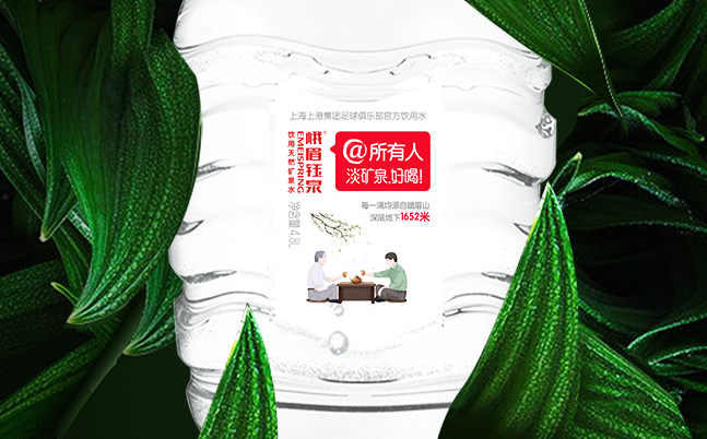 峨眉鈺泉品牌logo與食品包裝設計欣賞(圖2)