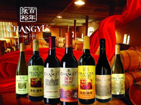 張?jiān)HANGYU食品包裝設(shè)計(jì)欣賞(圖3)