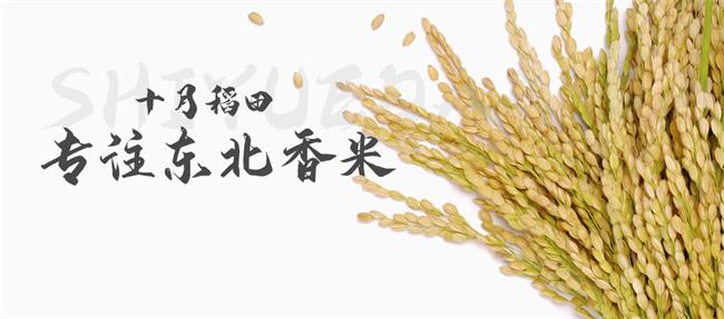 十月稻田食品包裝設計欣賞(圖3)