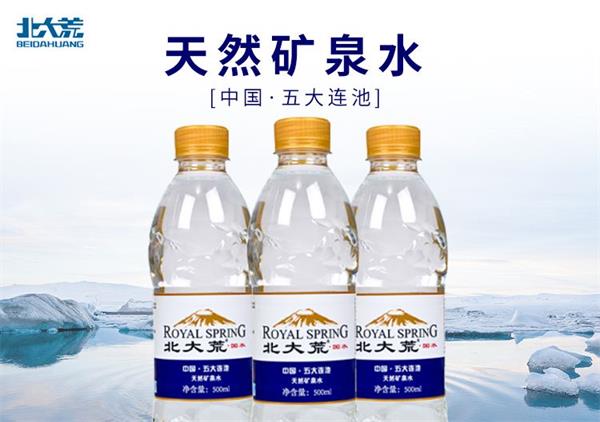 RoyalSpring國(guó)水食品包裝設(shè)計(jì)欣賞(圖2)