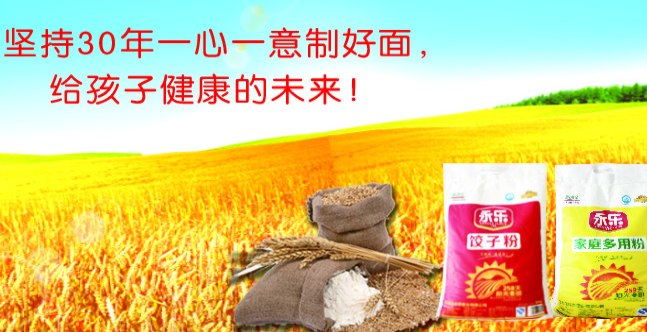 永樂(lè)食品包裝設(shè)計(jì)欣賞(圖2)
