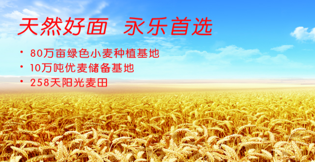 永樂(lè)食品包裝設(shè)計(jì)欣賞(圖3)