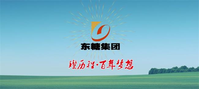 白蓮牌食品包裝設(shè)計(jì)欣賞(圖2)