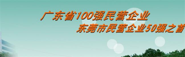 白蓮牌食品包裝設(shè)計(jì)欣賞(圖4)