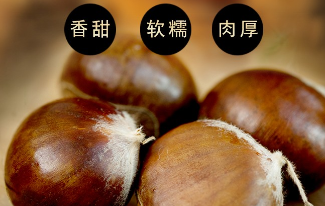北菜園食品包裝設(shè)計欣賞(圖3)