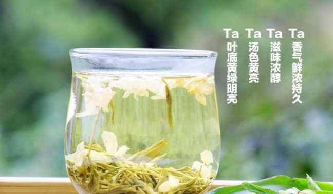 蜀濤食品包裝設(shè)計(jì)欣賞(圖2)