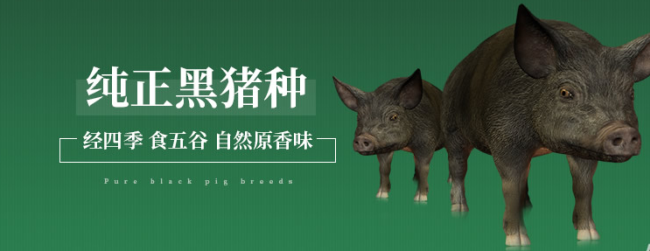 徒河食品包裝設(shè)計(jì)欣賞(圖2)